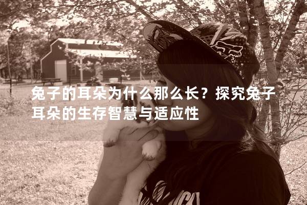 兔子的耳朵为什么那么长？探究兔子耳朵的生存智慧与适应性