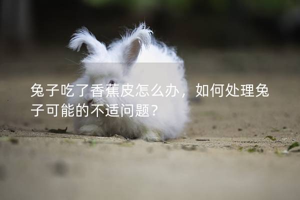 兔子吃了香蕉皮怎么办，如何处理兔子可能的不适问题？
