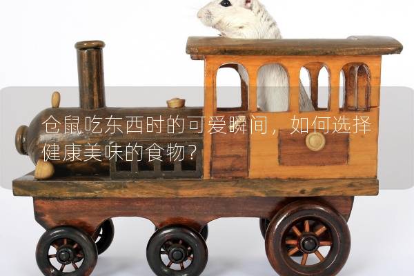 仓鼠吃东西时的可爱瞬间，如何选择健康美味的食物？