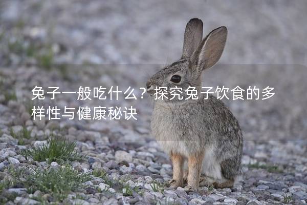 兔子一般吃什么？探究兔子饮食的多样性与健康秘诀