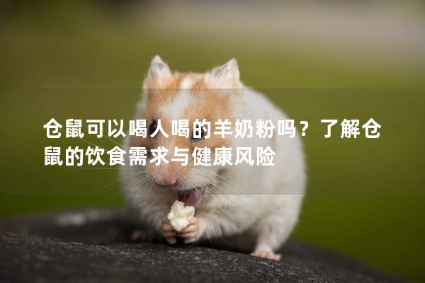 仓鼠可以喝人喝的羊奶粉吗？了解仓鼠的饮食需求与健康风险