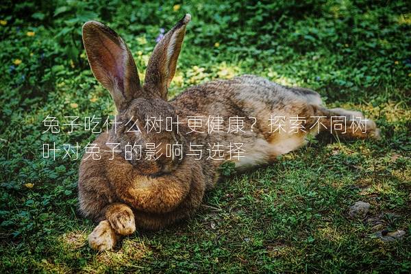 兔子吃什么树叶更健康？探索不同树叶对兔子的影响与选择