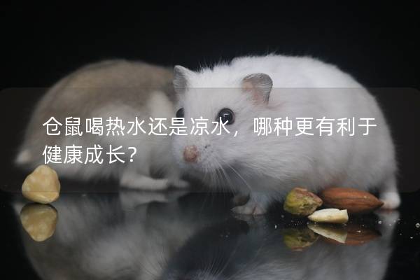 仓鼠喝热水还是凉水，哪种更有利于健康成长？