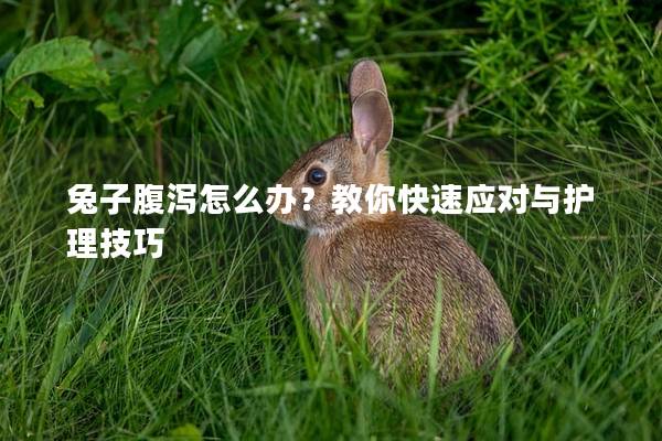 兔子腹泻怎么办？教你快速应对与护理技巧