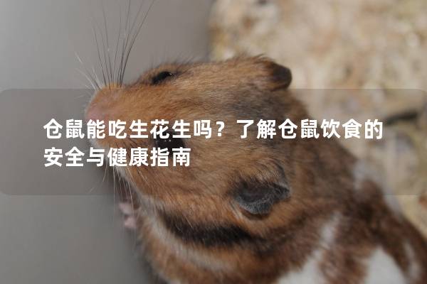 仓鼠能吃生花生吗？了解仓鼠饮食的安全与健康指南