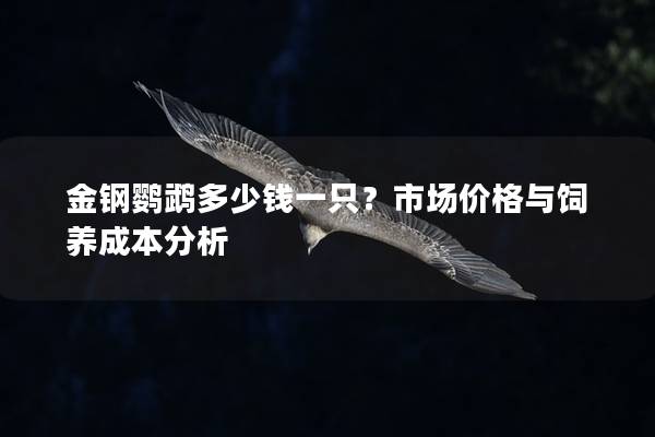 金钢鹦鹉多少钱一只？市场价格与饲养成本分析