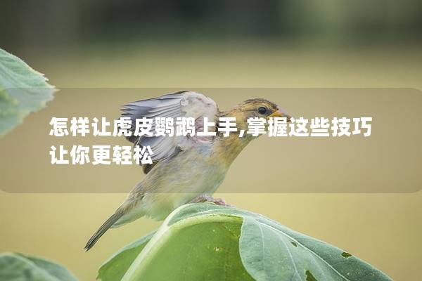 怎样让虎皮鹦鹉上手,掌握这些技巧让你更轻松