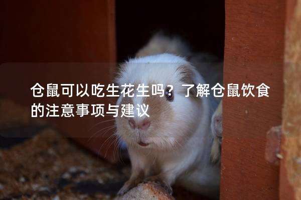 仓鼠可以吃生花生吗？了解仓鼠饮食的注意事项与建议
