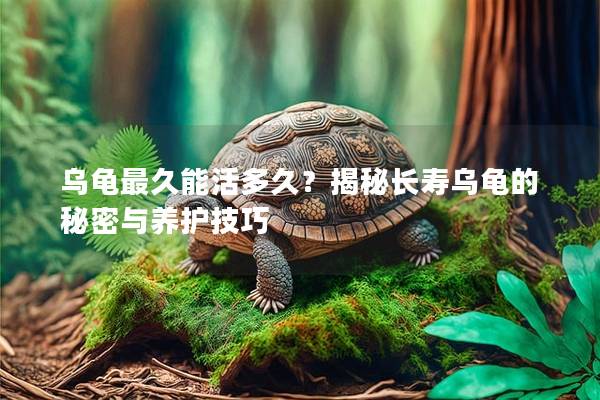 乌龟最久能活多久？揭秘长寿乌龟的秘密与养护技巧