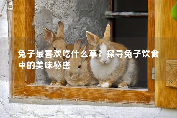 兔子最喜欢吃什么草？探寻兔子饮食中的美味秘密
