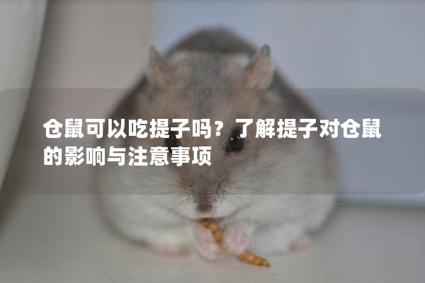 仓鼠可以吃提子吗？了解提子对仓鼠的影响与注意事项