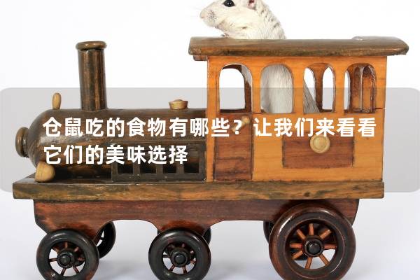 仓鼠吃的食物有哪些？让我们来看看它们的美味选择