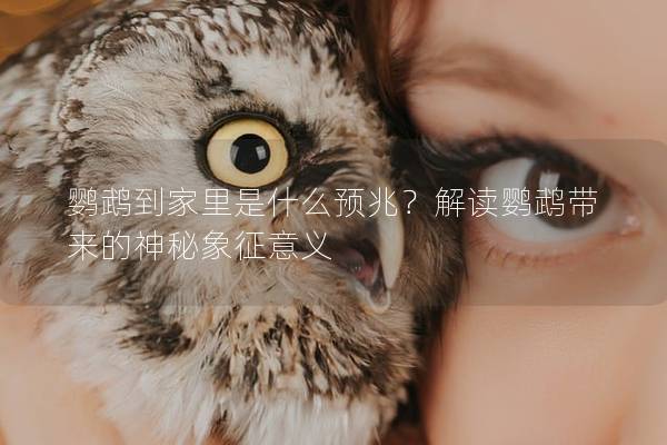 鹦鹉到家里是什么预兆？解读鹦鹉带来的神秘象征意义