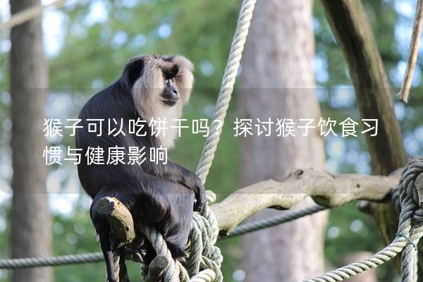 猴子可以吃饼干吗？探讨猴子饮食习惯与健康影响