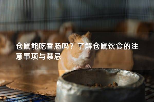 仓鼠能吃香肠吗？了解仓鼠饮食的注意事项与禁忌
