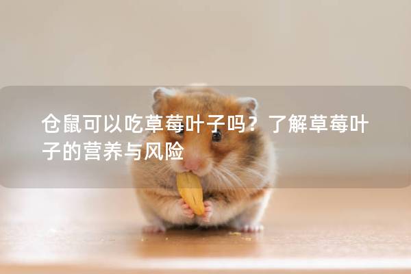 仓鼠可以吃草莓叶子吗？了解草莓叶子的营养与风险
