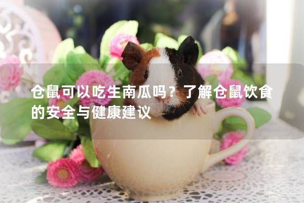 仓鼠可以吃生南瓜吗？了解仓鼠饮食的安全与健康建议