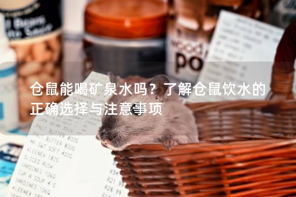 仓鼠能喝矿泉水吗？了解仓鼠饮水的正确选择与注意事项