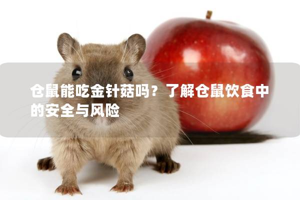 仓鼠能吃金针菇吗？了解仓鼠饮食中的安全与风险