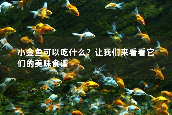 小金鱼可以吃什么？让我们来看看它们的美味食谱
