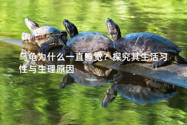 乌龟为什么一直睡觉？探究其生活习性与生理原因