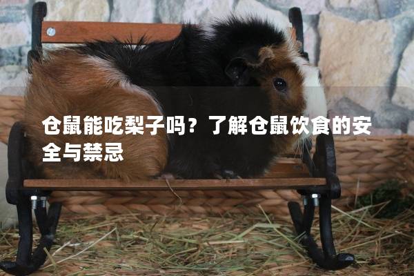 仓鼠能吃梨子吗？了解仓鼠饮食的安全与禁忌