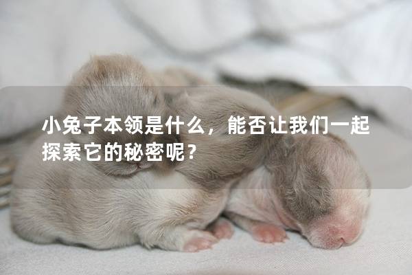 小兔子本领是什么，能否让我们一起探索它的秘密呢？