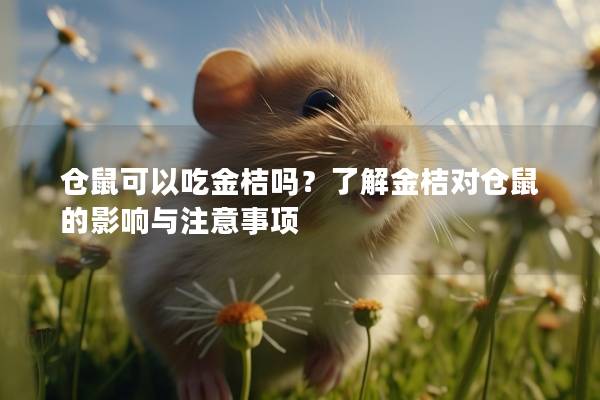 仓鼠可以吃金桔吗？了解金桔对仓鼠的影响与注意事项