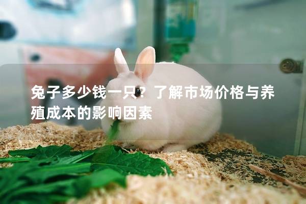 兔子多少钱一只？了解市场价格与养殖成本的影响因素