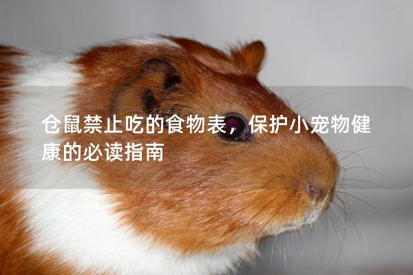 仓鼠禁止吃的食物表，保护小宠物健康的必读指南