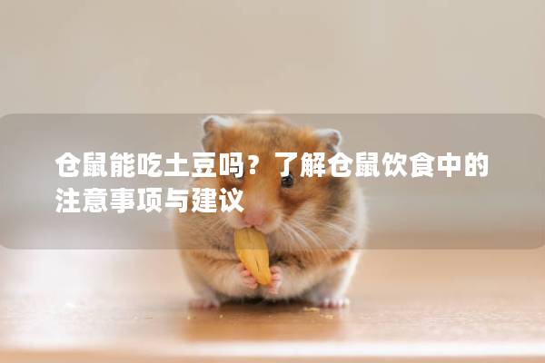 仓鼠能吃土豆吗？了解仓鼠饮食中的注意事项与建议
