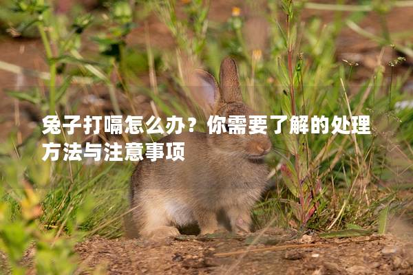 兔子打嗝怎么办？你需要了解的处理方法与注意事项