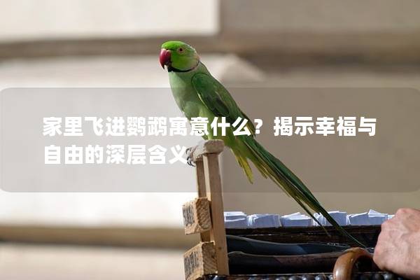 家里飞进鹦鹉寓意什么？揭示幸福与自由的深层含义