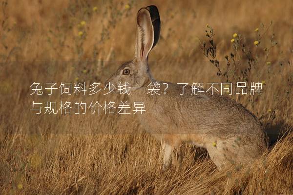 兔子饲料多少钱一袋？了解不同品牌与规格的价格差异