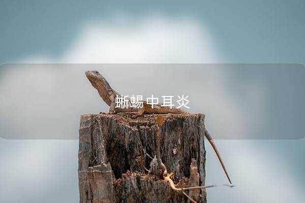 蜥蜴中耳炎