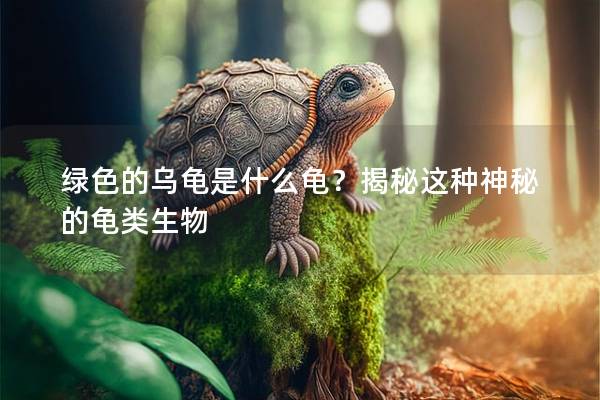 绿色的乌龟是什么龟？揭秘这种神秘的龟类生物