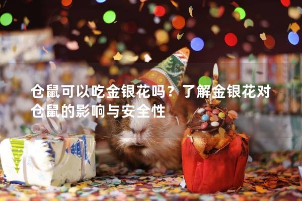 仓鼠可以吃金银花吗？了解金银花对仓鼠的影响与安全性