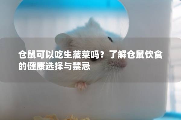 仓鼠可以吃生菠菜吗？了解仓鼠饮食的健康选择与禁忌