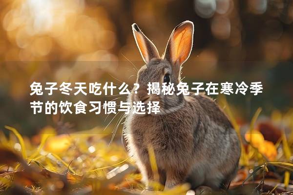 兔子冬天吃什么？揭秘兔子在寒冷季节的饮食习惯与选择