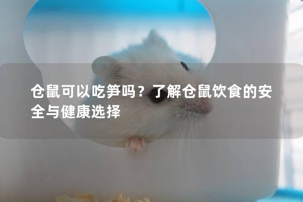 仓鼠可以吃笋吗？了解仓鼠饮食的安全与健康选择