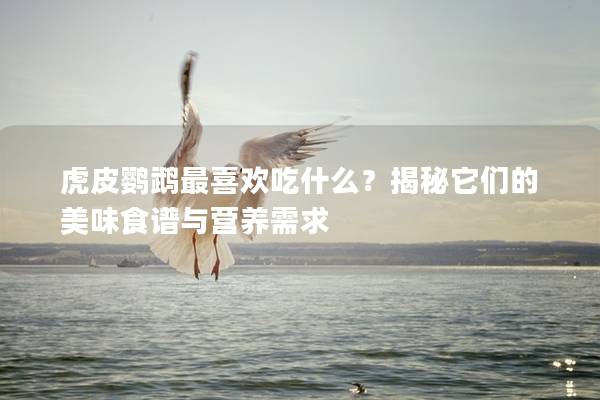 虎皮鹦鹉最喜欢吃什么？揭秘它们的美味食谱与营养需求