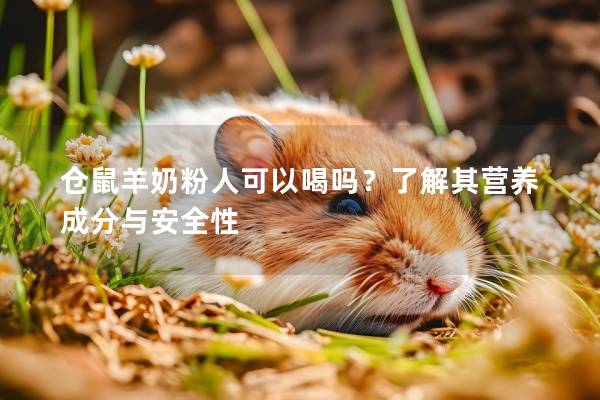 仓鼠羊奶粉人可以喝吗？了解其营养成分与安全性