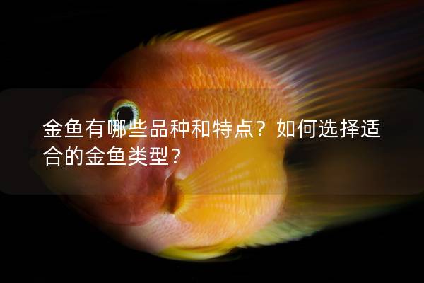 金鱼有哪些品种和特点？如何选择适合的金鱼类型？