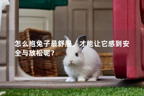 怎么抱兔子最舒服，才能让它感到安全与放松呢？