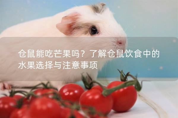 仓鼠能吃芒果吗？了解仓鼠饮食中的水果选择与注意事项