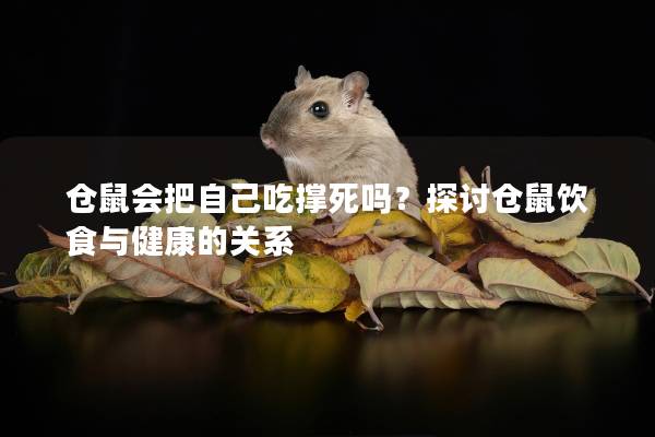仓鼠会把自己吃撑死吗？探讨仓鼠饮食与健康的关系