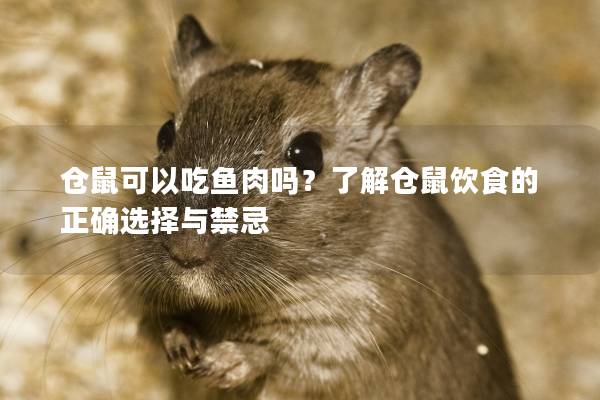 仓鼠可以吃鱼肉吗？了解仓鼠饮食的正确选择与禁忌