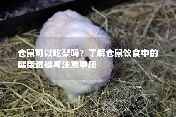 仓鼠可以吃梨吗？了解仓鼠饮食中的健康选择与注意事项