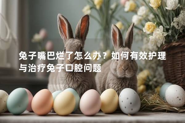 兔子嘴巴烂了怎么办？如何有效护理与治疗兔子口腔问题