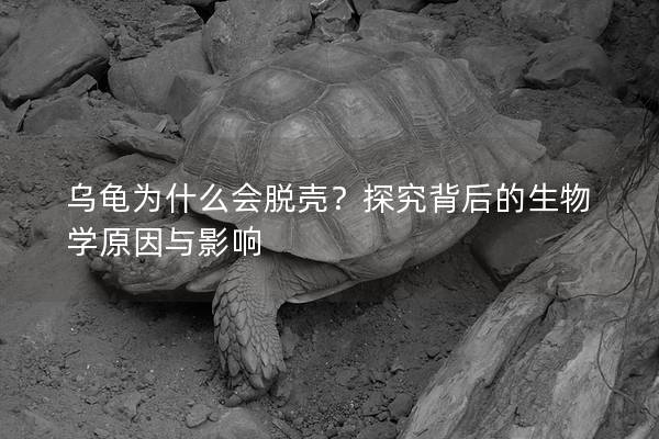 乌龟为什么会脱壳？探究背后的生物学原因与影响
